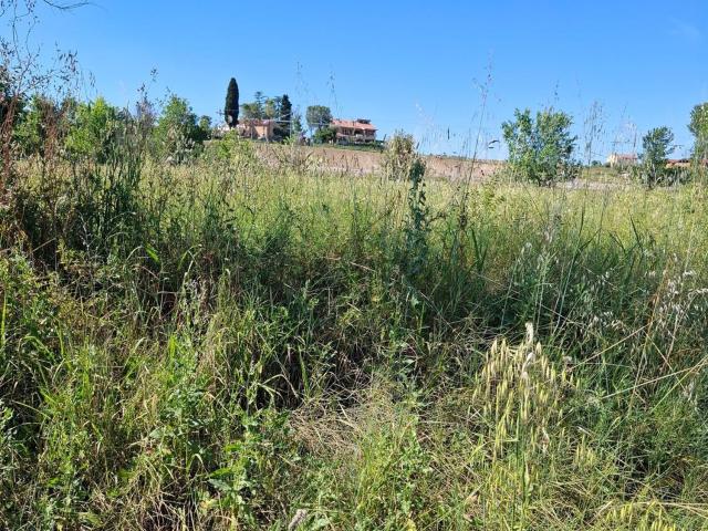 Terreno in vendita a Marche, Macerata