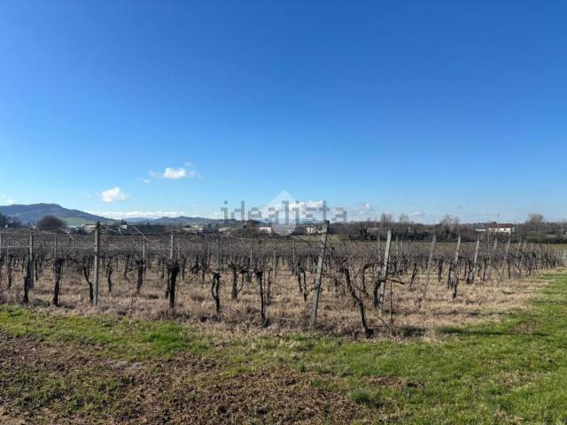 Terreno in vendita a Unione dei comuni Valli del Reno, Lavino e Samoggia, Reggio Emilia