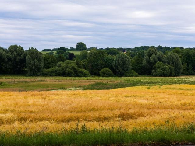 Terreno in vendita a Pistoia, Toscana