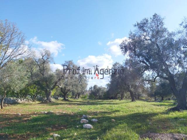 Terreno in vendita a Puglia, Brindisi