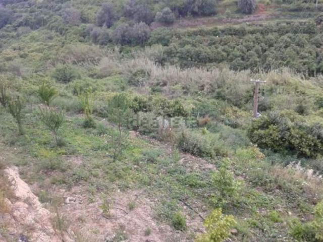 Terreno in vendita a Militello in Val di Catania, Catania