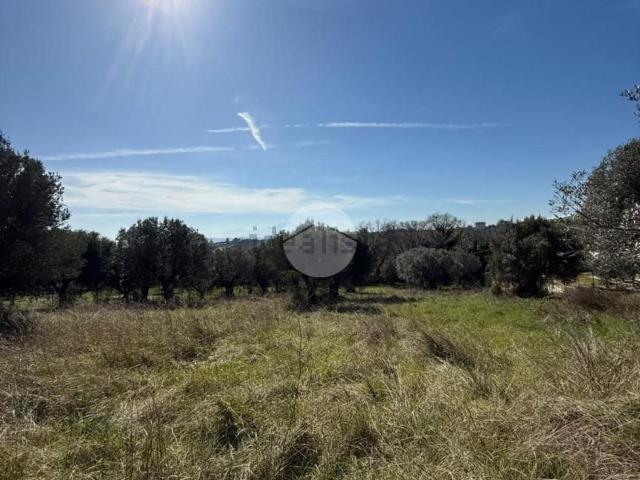 Terreno in vendita a Colledoro, Giulianova
