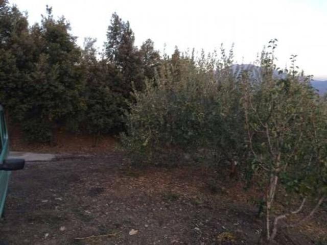Terreno in vendita a Bronte, Catania