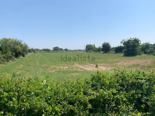 Terreno in vendita a Rimini, Reggio Emilia
