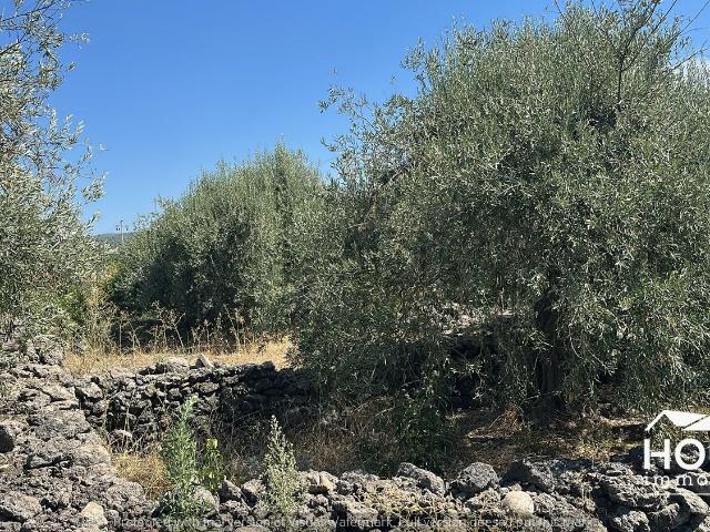 Terreno in vendita a Adrano, Catania