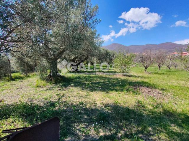 Terreno in vendita a Calabria, Cosenza