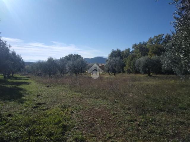 Terreno in vendita a Vico Nel Lazio, Lazio