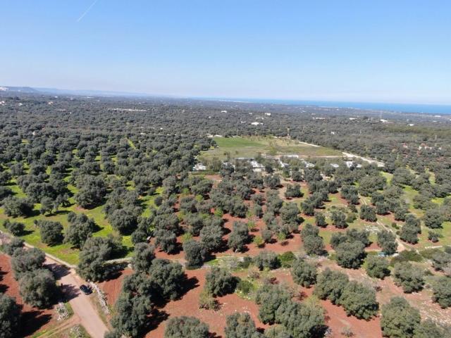Terreno in vendita a Puglia, Brindisi