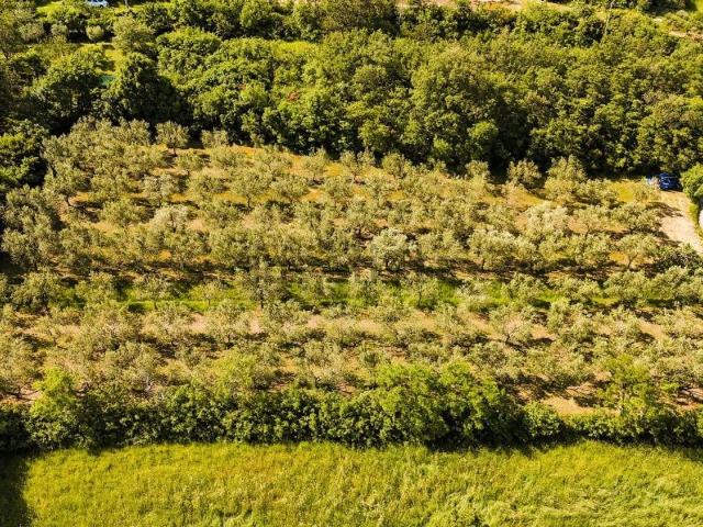 Terreno in vendita a Santa Barbara / Korošci, Muggiò