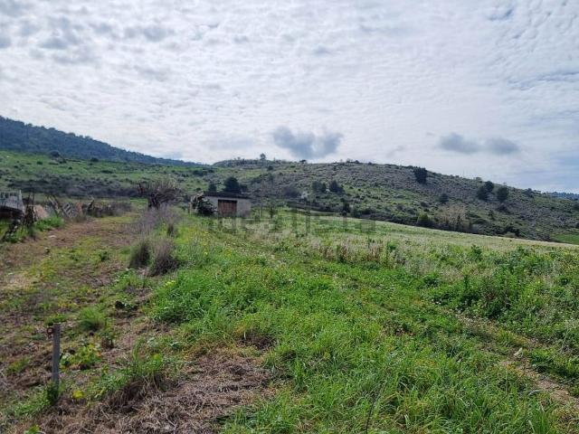 Terreno in vendita a Sambuca Di Sicilia, Sicilia