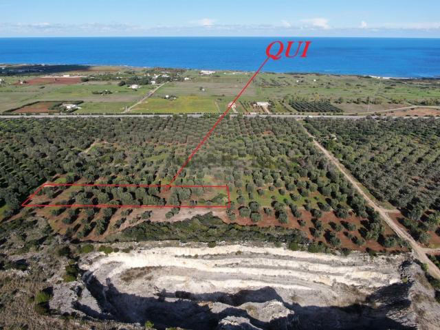 Terreno in vendita a Puglia, Brindisi