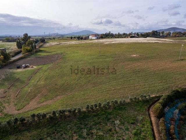 Terreno in vendita a Montalto Di Castro, Lazio