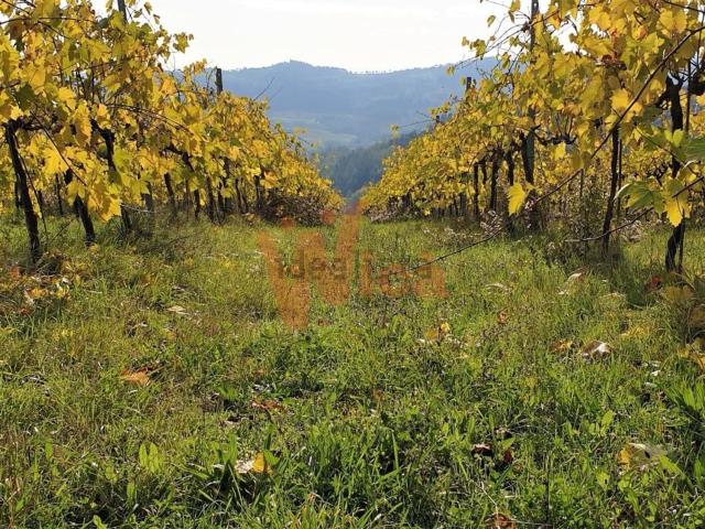 Terreno in vendita a Unione dei comuni Valle del Savio, Cesenà