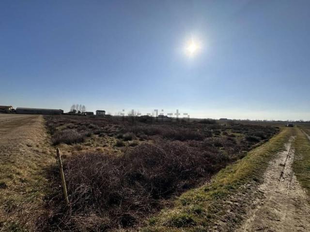 Terreno in vendita a Gattinara, Vercelli