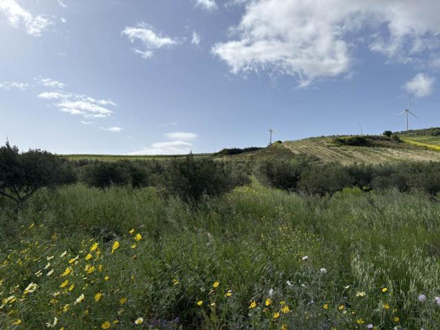 Terreno in vendita a Buseto Palizzolo, Sicilia