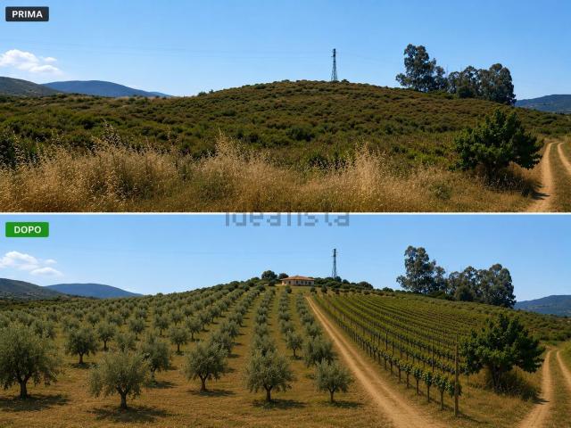 Terreno in vendita a Donori, Sardigna/Sardegna