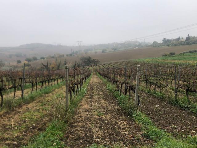 Terreno in vendita a Grotta Rossa, Rimini