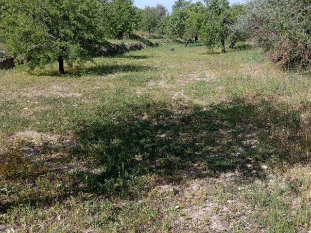 Terreno in vendita a Lido di Noto, Noto