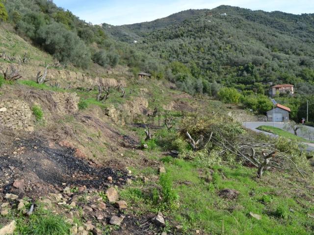 Terreno in vendita a Perinaldo, Liguria