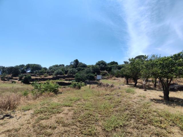 Terreno in vendita a Sciarelle, Acireale