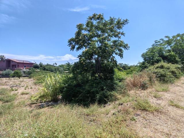 Terreno in vendita a Sciarelle, Acireale
