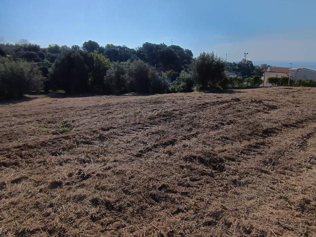 Terreno in vendita a Calabria, Catanzaro