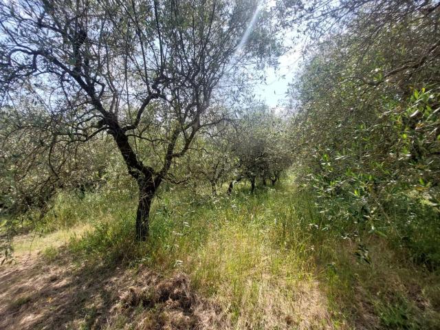 Terreno in vendita a Larciano, Vaiano