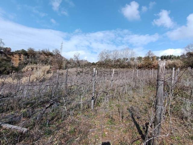 Terreno in vendita a Calabria, Cosenza