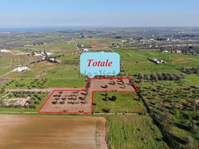 Terreno in vendita a Puglia, Brindisi
