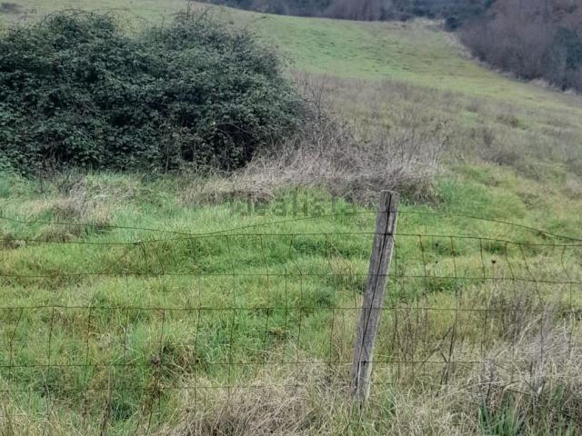 Terreno in vendita a Unione di Comuni Montani Colline del Fiora, Manciano