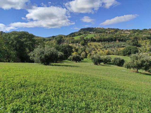 Terreno in vendita a Marche, Macerata