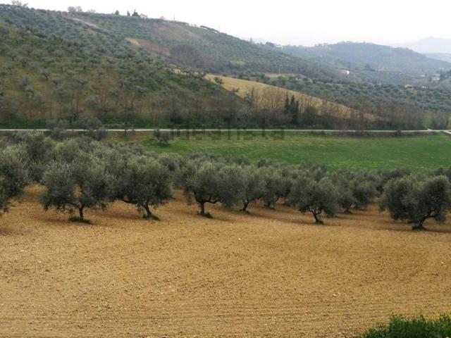Terreno in vendita a Pianella, Pescara