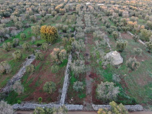Terreno in vendita a Puglia, Brindisi