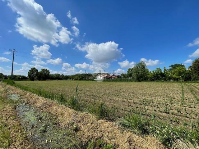 Terreno in vendita a Piombino Dese, Veneto