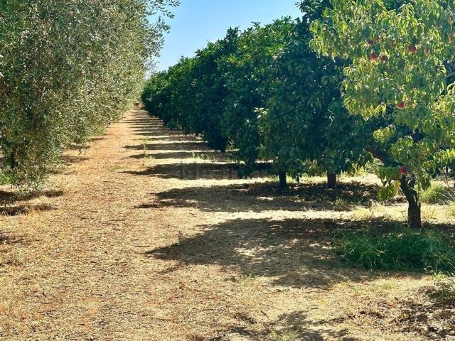 Terreno in vendita a Puglia, Taranto