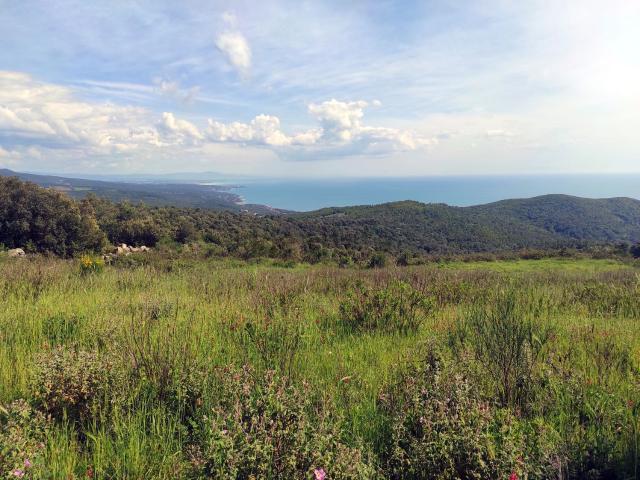 Terreno in vendita a Livorno, Toscana