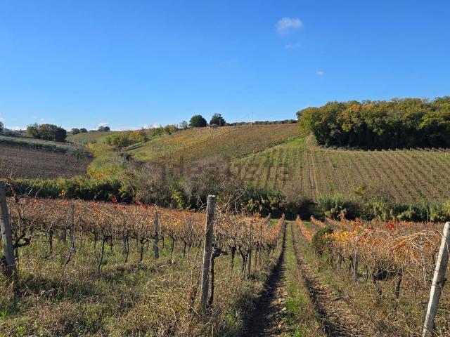 Terreno in vendita a Piana del Lago, Casalbordino