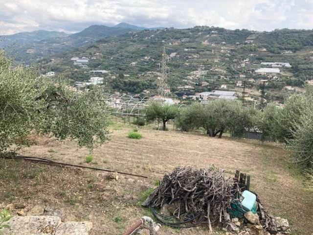 Terreno in vendita a San Biagio Della Cima, Liguria