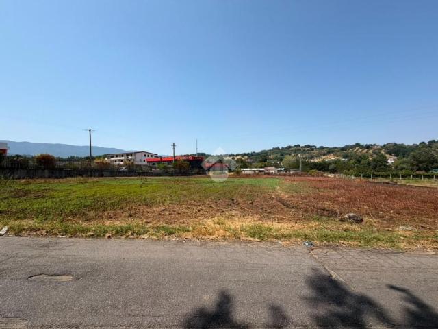 Terreno in vendita a Calabria, Cosenza