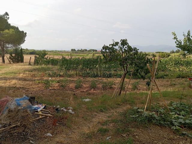 Terreno in vendita a Collesalvetti, Toscana