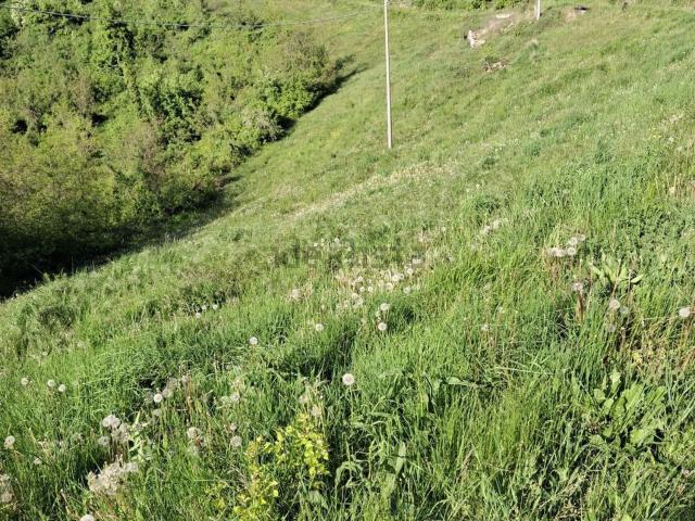 Terreno in vendita a Tregnago, Veneto