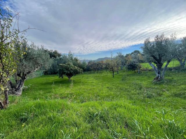 Terreno in vendita a Pontegrande, Calabria