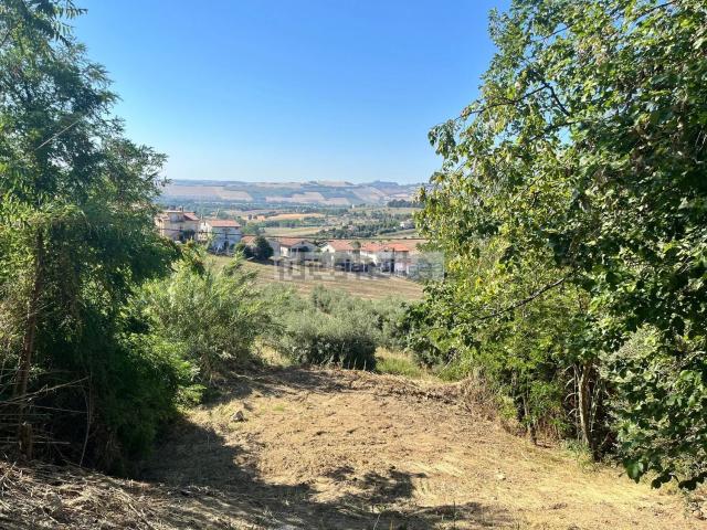 Terreno in vendita a Marche, Fermo