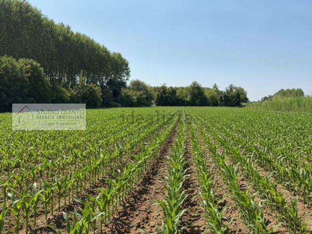 Terreno in vendita a Sant'Alberto, Zero Branco