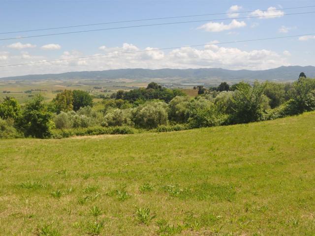 Terreno in vendita a Rosignano Marittimo, Toscana