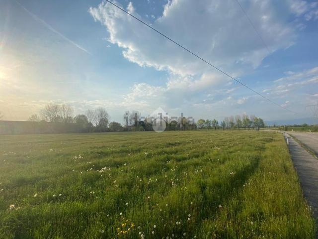 Terreno in vendita a Gazzo Padovano, Veneto