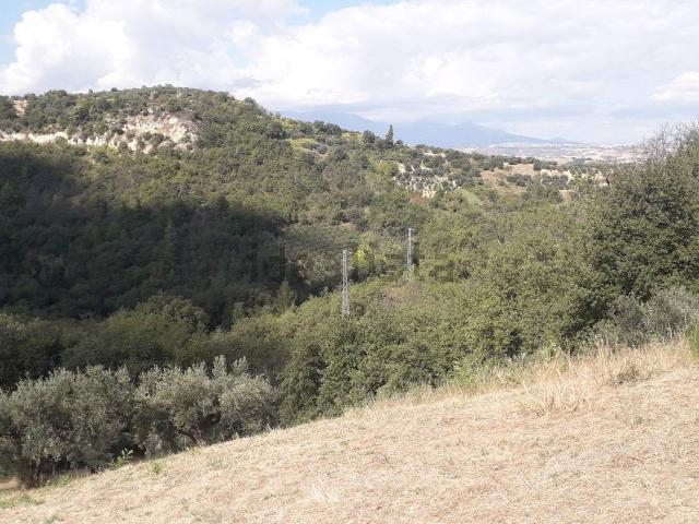 Terreno in vendita a Turrivalignani, Abruzzo