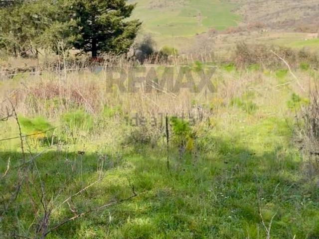 Terreno in vendita a Murazzo Rotto, Randazzo