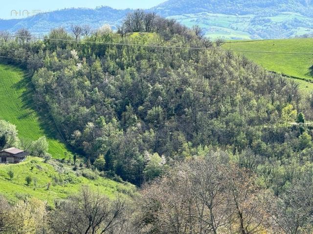 Terreno in vendita a Marche, Fermo