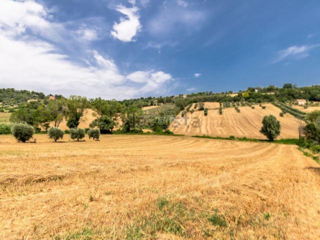 Terreno in vendita a Marche, Macerata